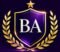 BA Mastery Academy